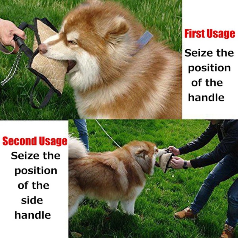 Durable Dog Training Bite Tug  - Interactive Squeaky Plush Dog Toy ulasan dan harga
