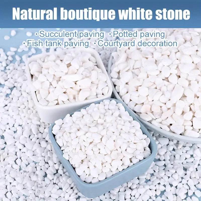 1L High-Quality Perlite Succul - Pet Beds ulasan dan harga
