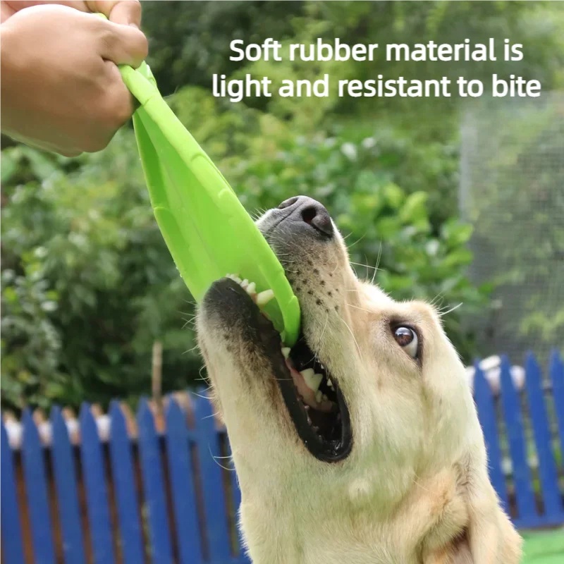 Chew Resistant Silicone Flying - Flying Disc Dog Training Toy ulasan dan harga