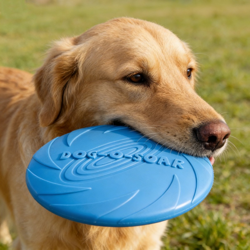 Chew Resistant Silicone Flying - Flying Disc Dog Training Toy ulasan dan harga