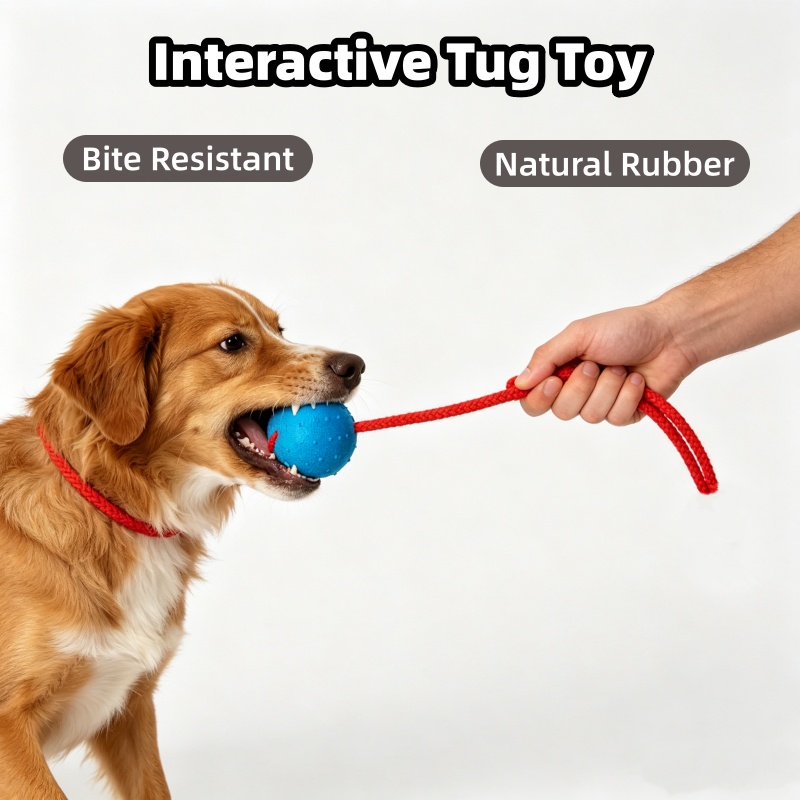 Indestructible Dog Ball with R - Indestructible Dog Chew Toy ulasan dan harga