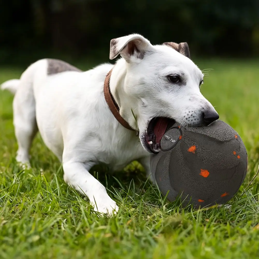 Bite Resistant Smart Dog Toy B - Automatic Moving Dog Ball ulasan dan harga