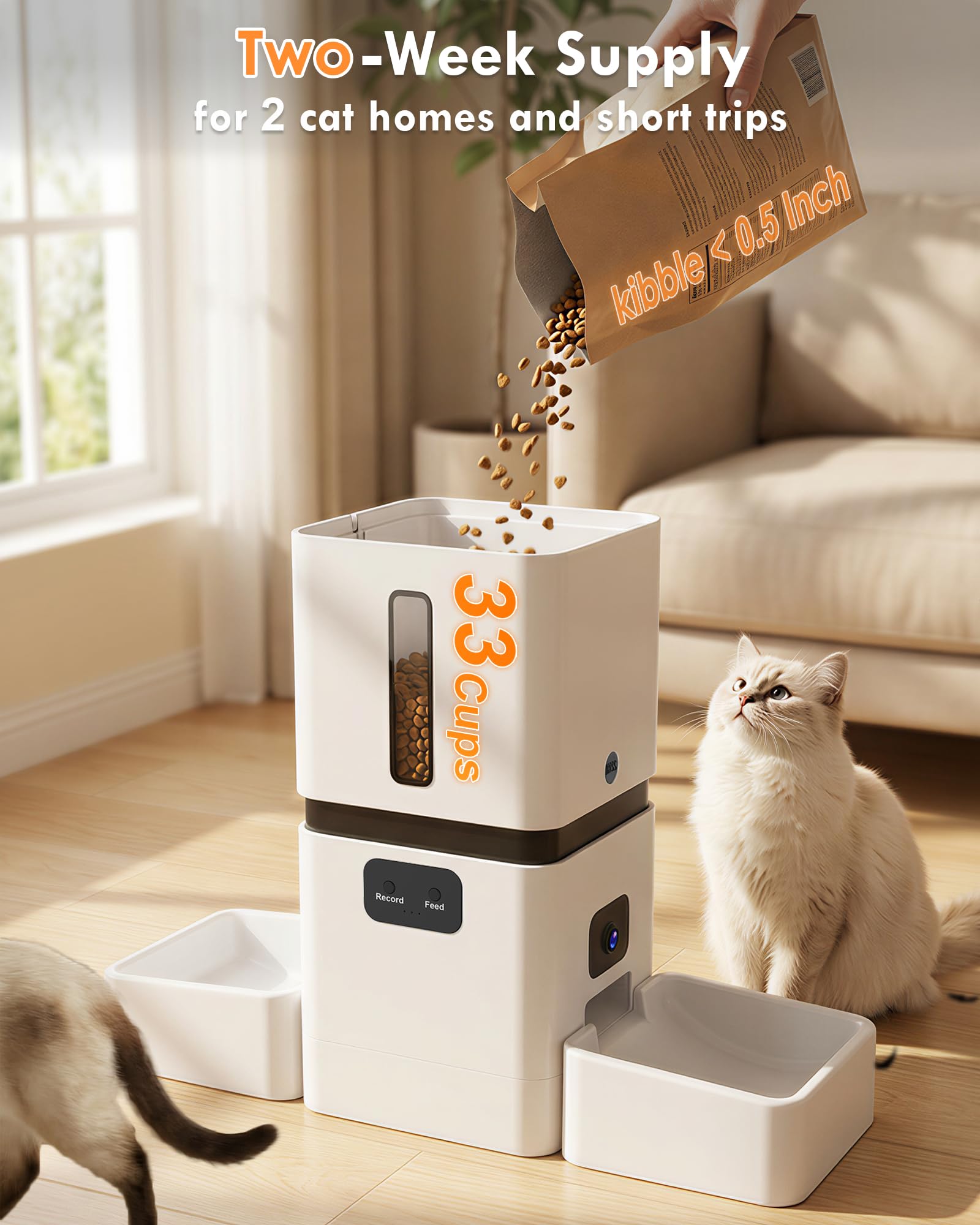 5GHz WiFi 8L Smart Automatic P - Pet Feeders ulasan dan harga