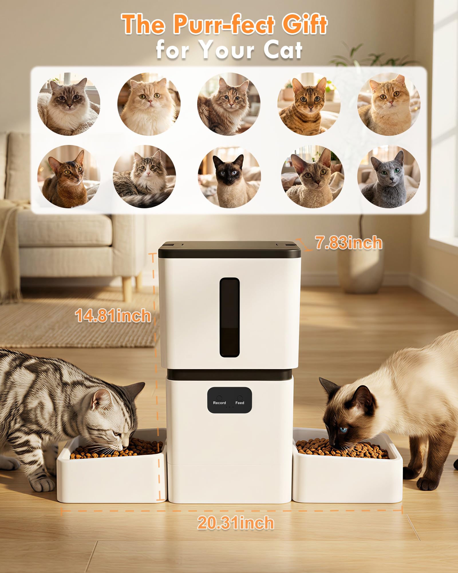 5GHz WiFi 8L Smart Automatic P - Pet Feeders ulasan dan harga